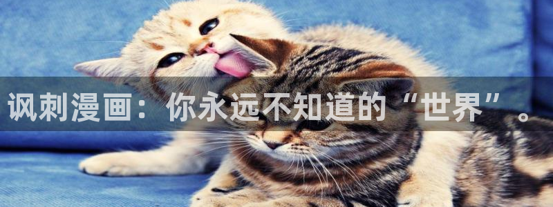 禁漫天堂为什么进不去了
