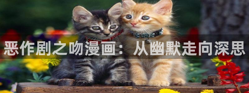 jm禁漫天堂在线