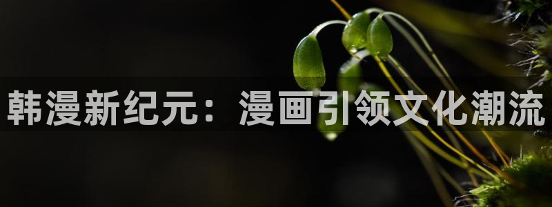 什么是禁漫天堂
