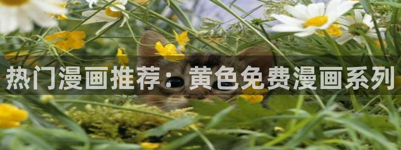 免费a漫 -禁漫天堂