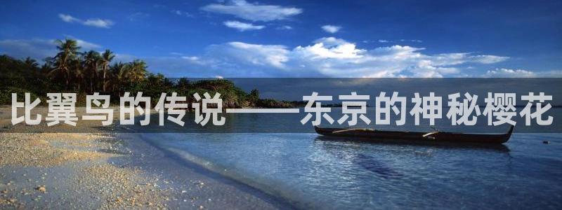 禁漫天堂要不要加速器